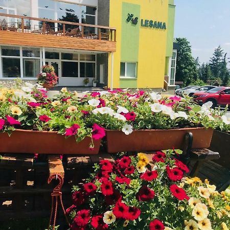 Stará Lesná Hotel Lesana מראה חיצוני תמונה
